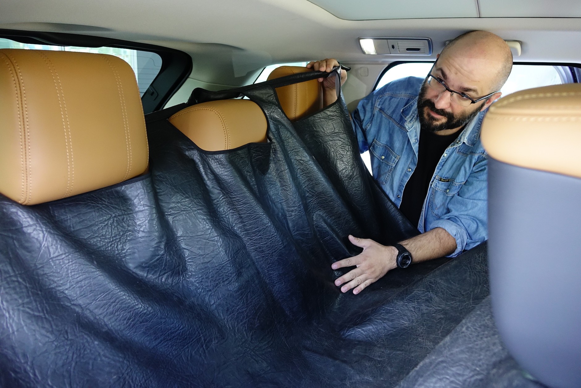 Jak przewozić w aucie psy i koty?