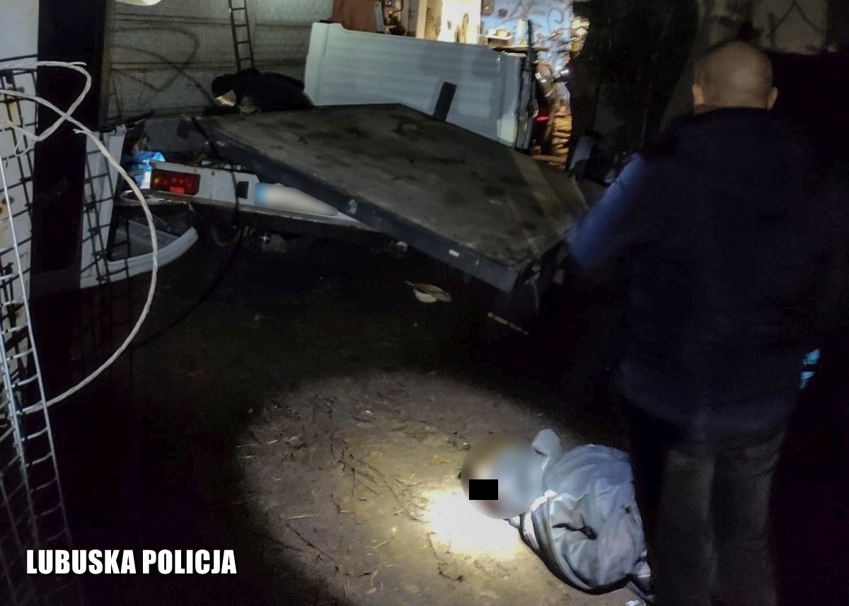Złodzieje wpadli w "dziupli". Rozkręcali skradzione auto