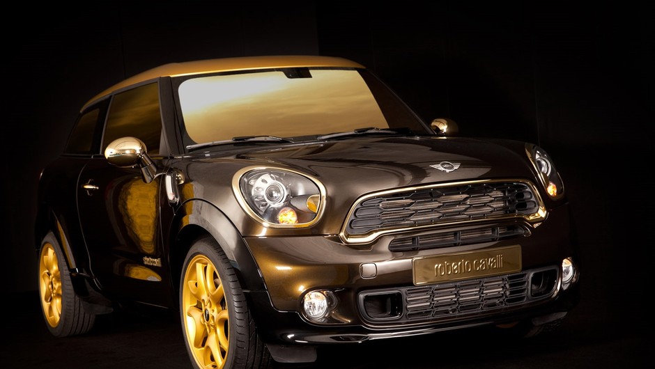 Mini Paceman