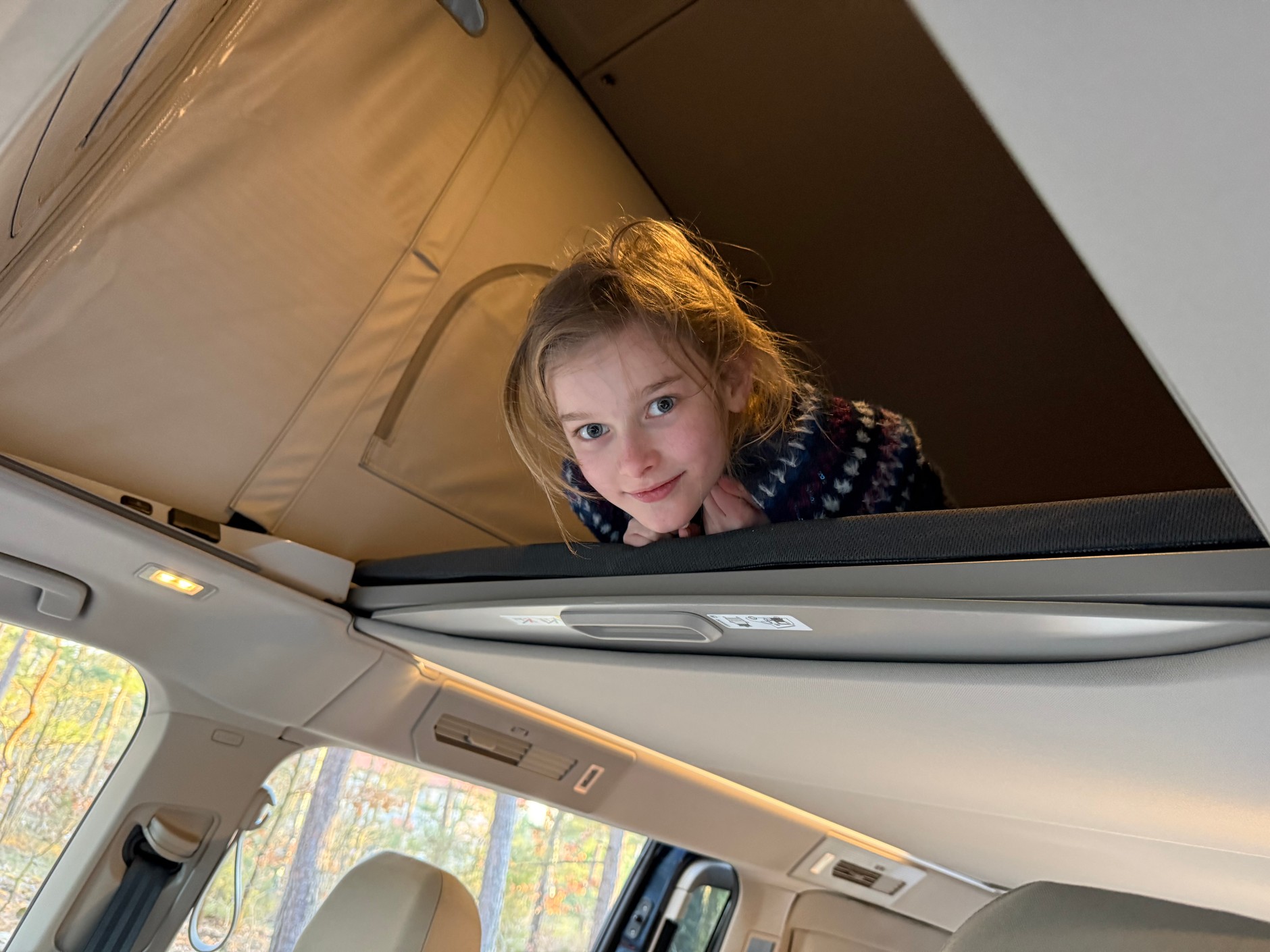 Volkswagen California Beach