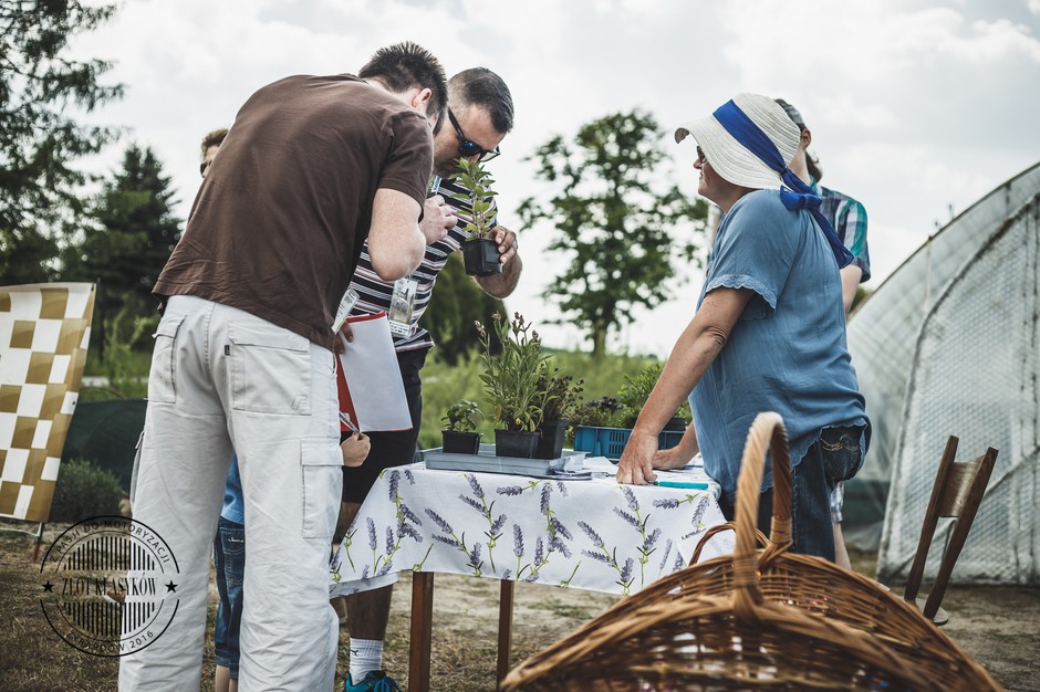 Zlot Klasyków Żyrardów 2016