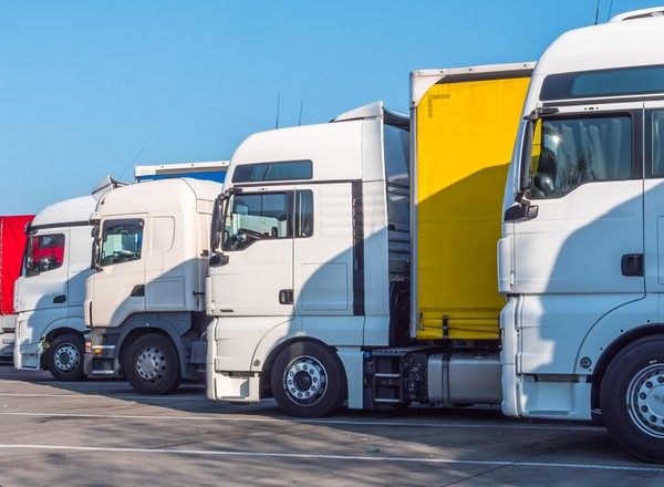 Czy wiesz, co znaczy Dżangłera? Wyjaśniamy tajemnicę "truckerów"