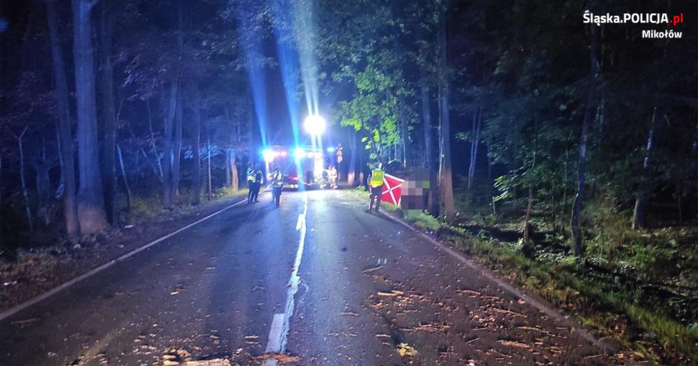 Tragedia w Mikołowie. Nie żyje 11-latka