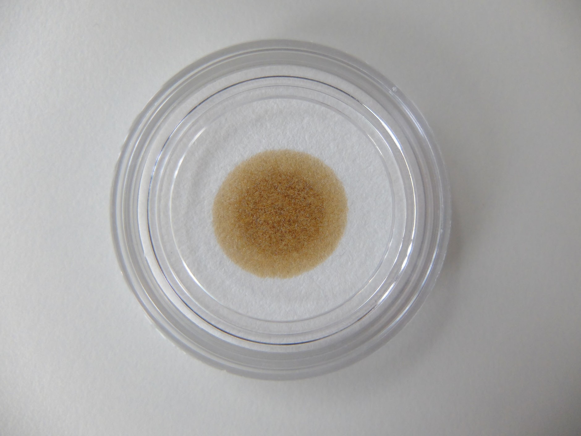 Silnik benzynowy - przebieg od wymiany oleju 10 000 km - przebieg auta 70 000 km