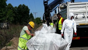 Droga S7. Takie rzeczy na budowie to prawdziwa rzadkość. Potrzebny był myrmekolog