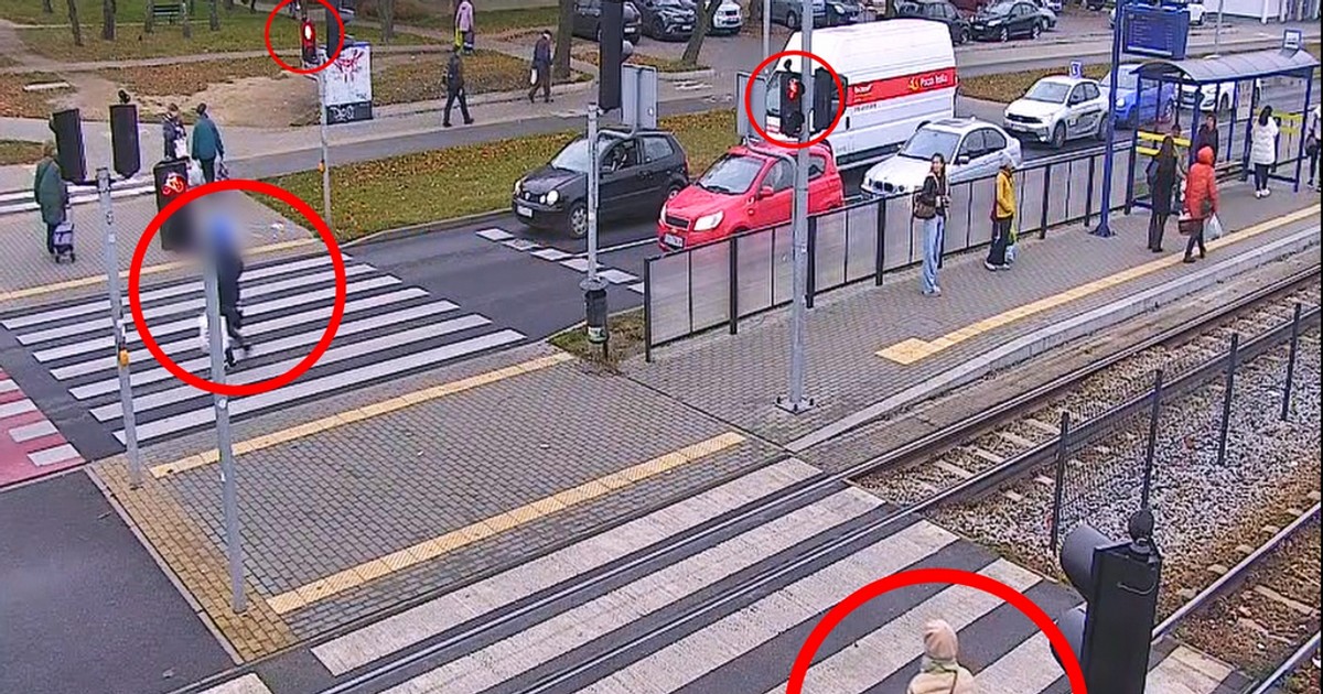 Piesi masowo ignorują czerwone światła