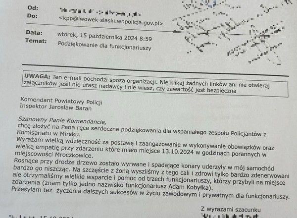 Gałęzie z powalonego drzewa spadły na auto. Policjanci dostali podziękowania