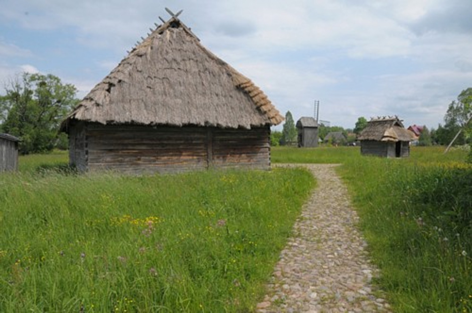 Skodą Yeti tropimy żubry