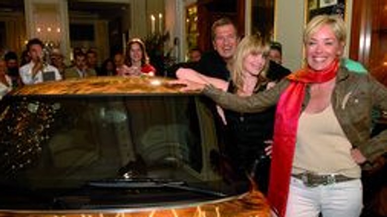 Mini: super model na aukcji charytatywnej