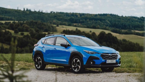 Wyróżnić się w tłumie – ten model robi to po swojemu