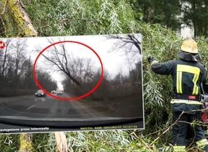 Pokazał, jak drzewo spada na jadący samochód. Przerażające nagranie z Poznania [WIDEO]