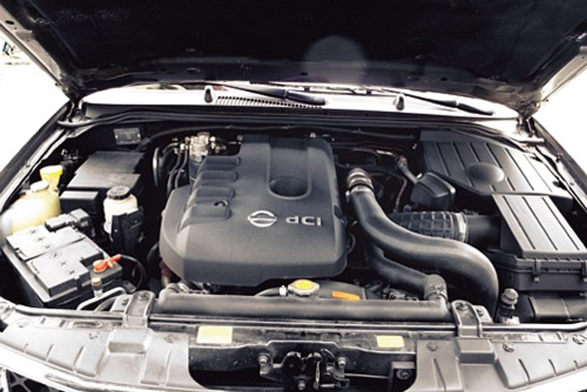 Jestem duży i silny!