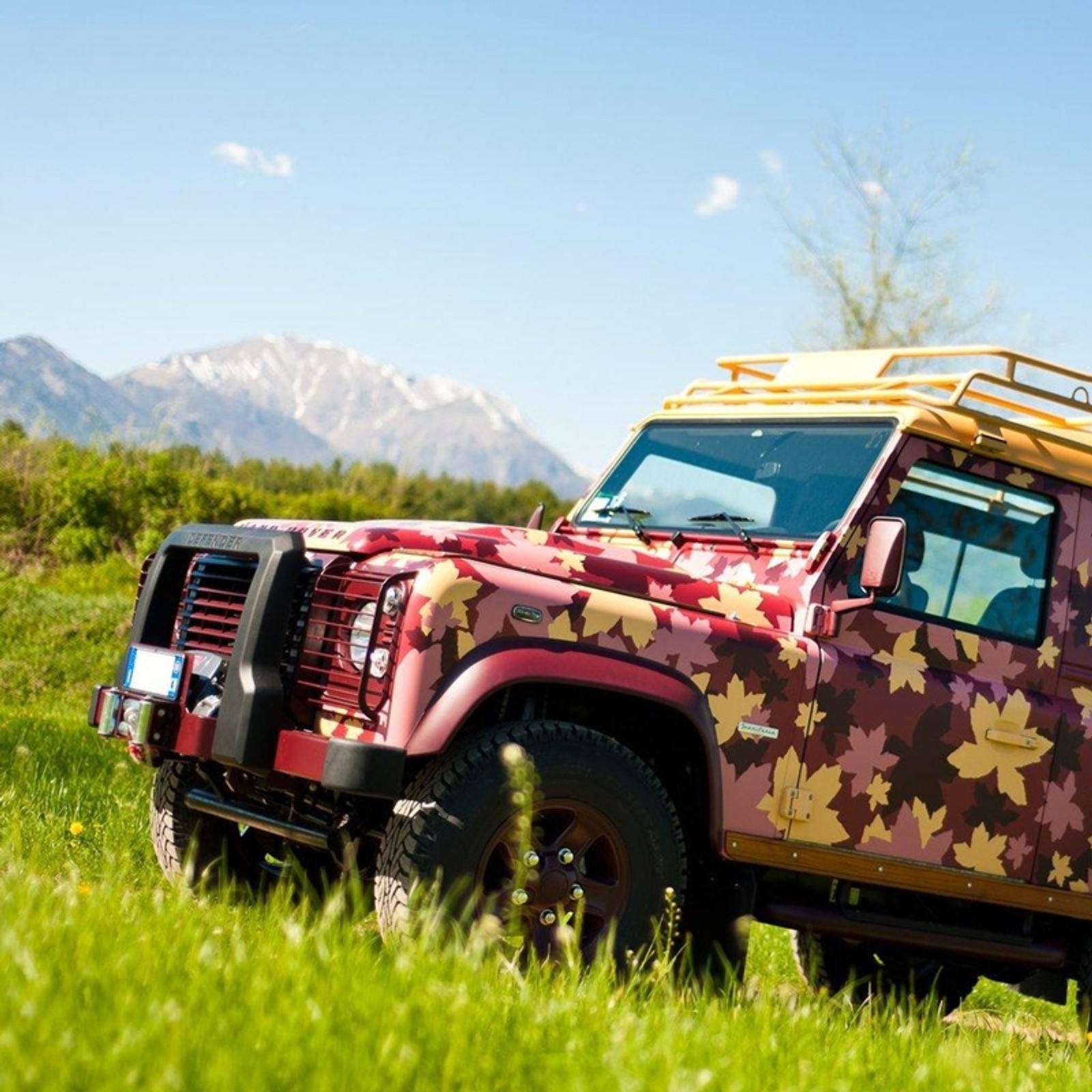 Land Rover Defender Vineyard by FuoriSerie Torino