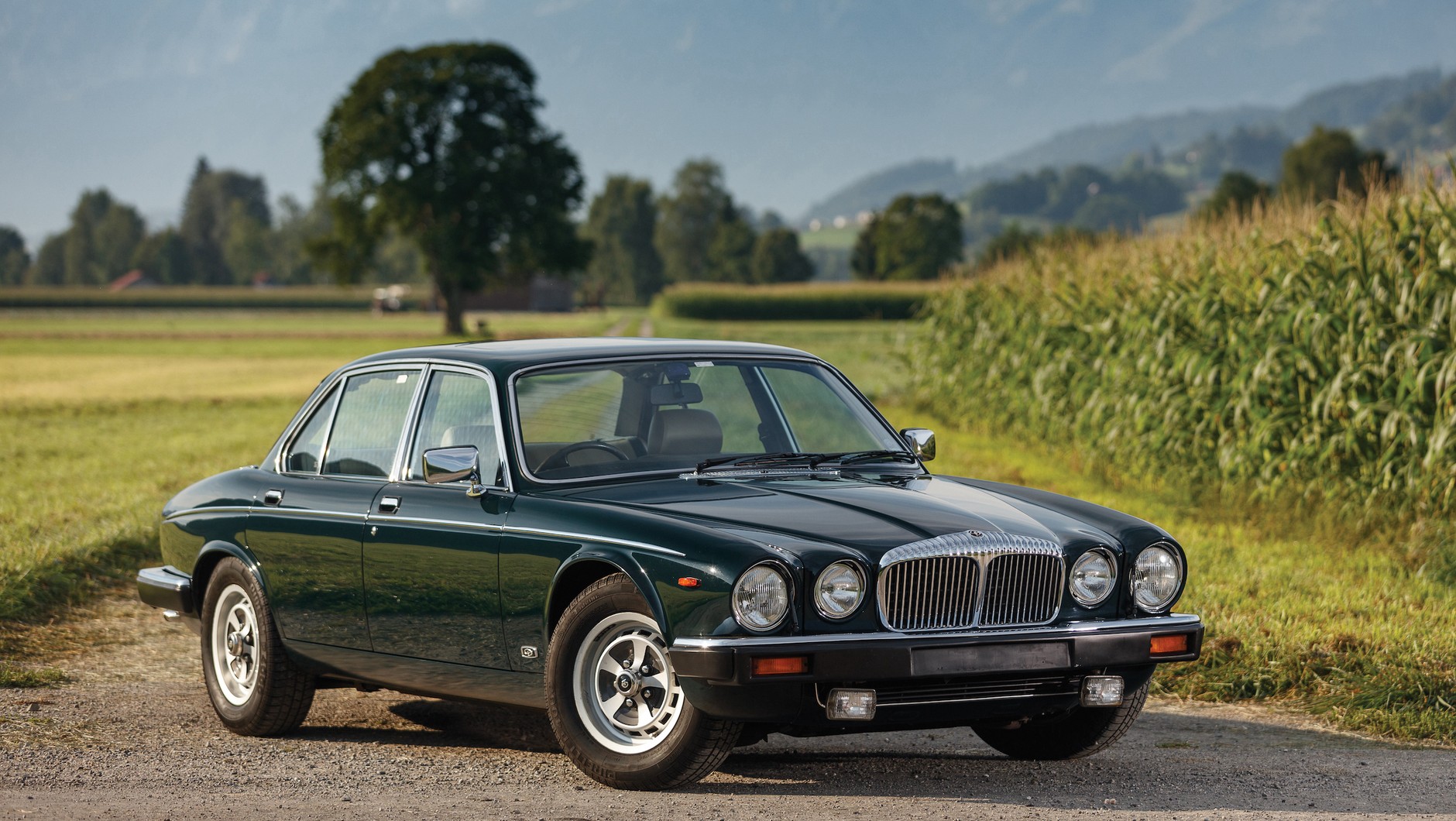1984-Daimler-Double-Six-Long-Wheelbase-Saloon817802