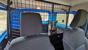 Czy warto kupić używane auto z kratką? Spytaliśmy mechaników i flotowców