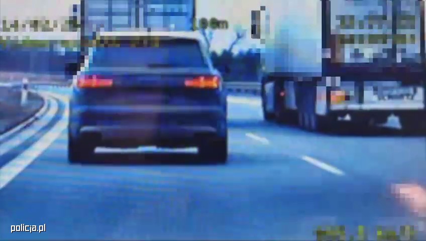 Wyścig słoni w oku policyjnego wideorejestratora