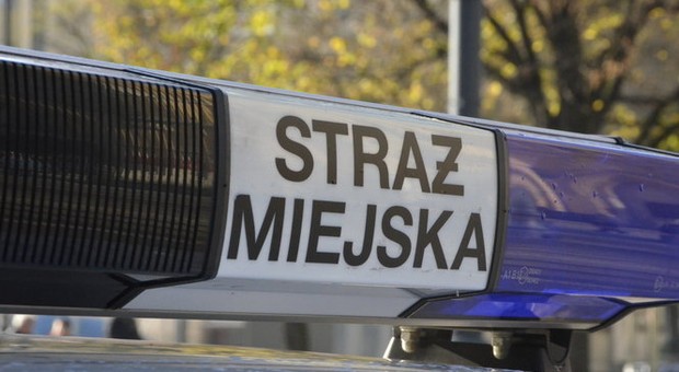Kierowca elektrycznej hulajnogi utrudnił przejazd karetce na sygnale. Mandat to równowartość trzech nowych e-hulajnóg