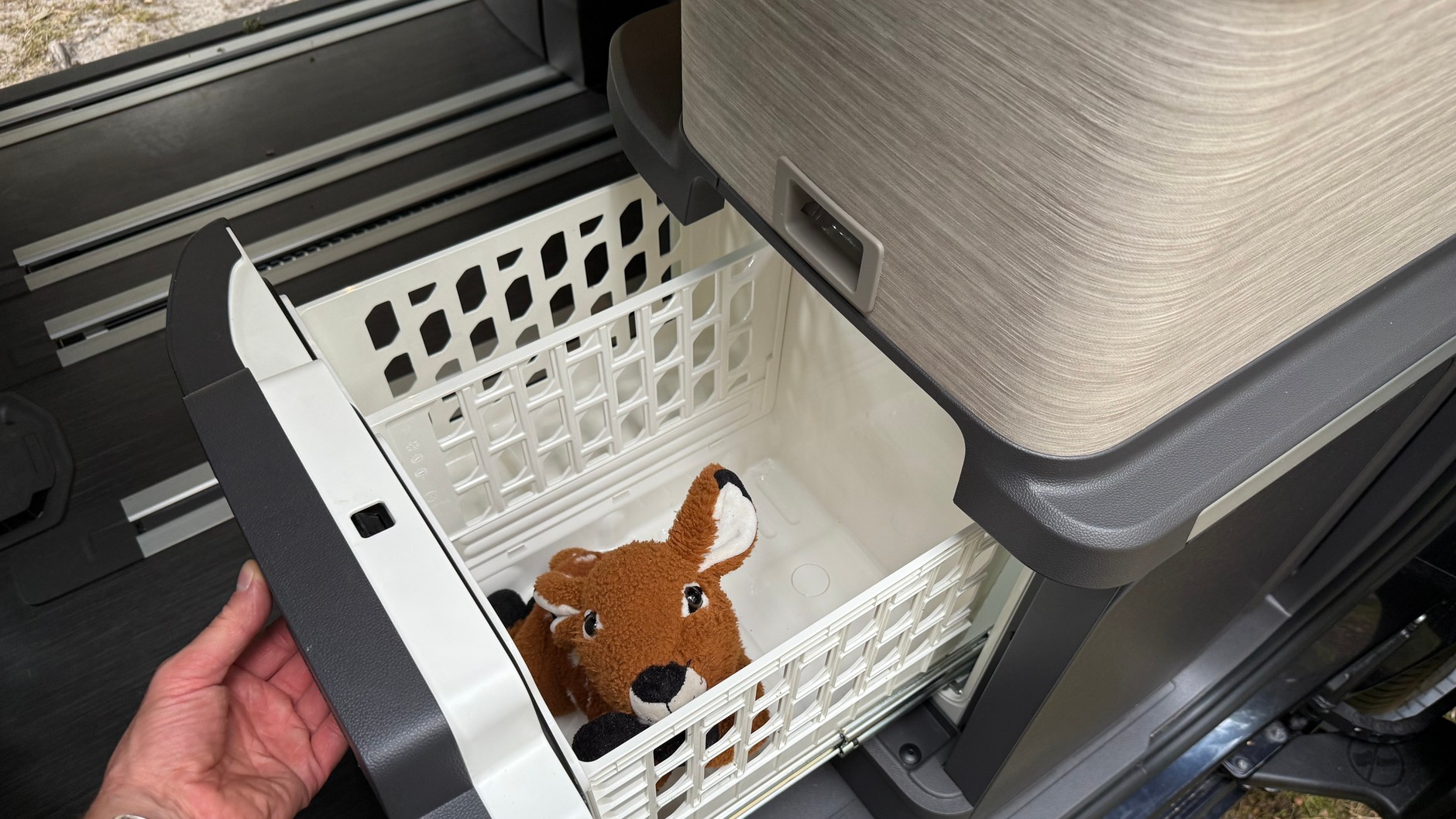 Volkswagen California Ocean 2025 – lodówka