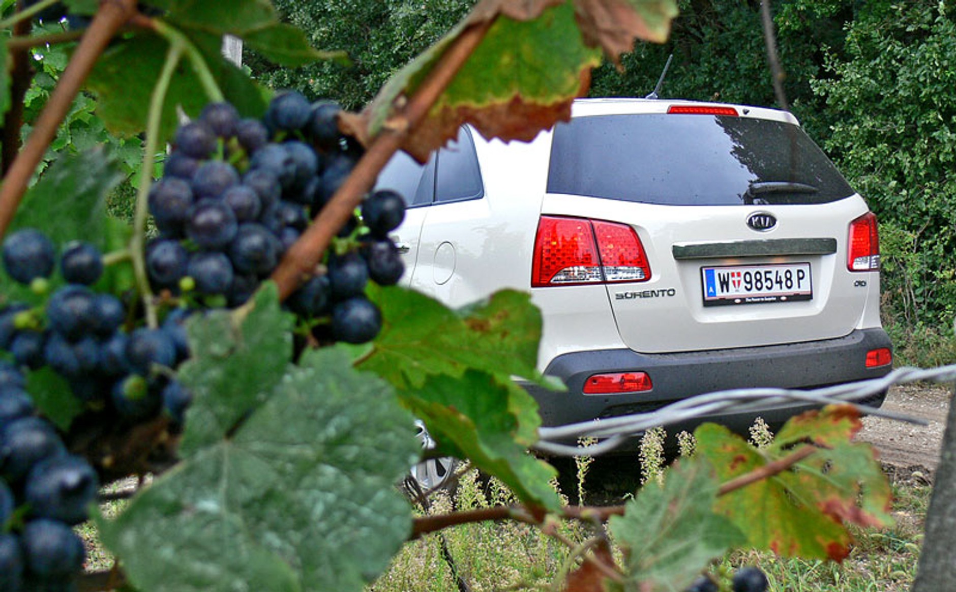 Kia Sorento: pierwsze wrażenia z jazdy