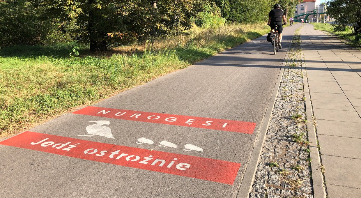 Policja wstrzymała ruch w Warszawie. Nurogęsi przechodziły przez Czerniakowską