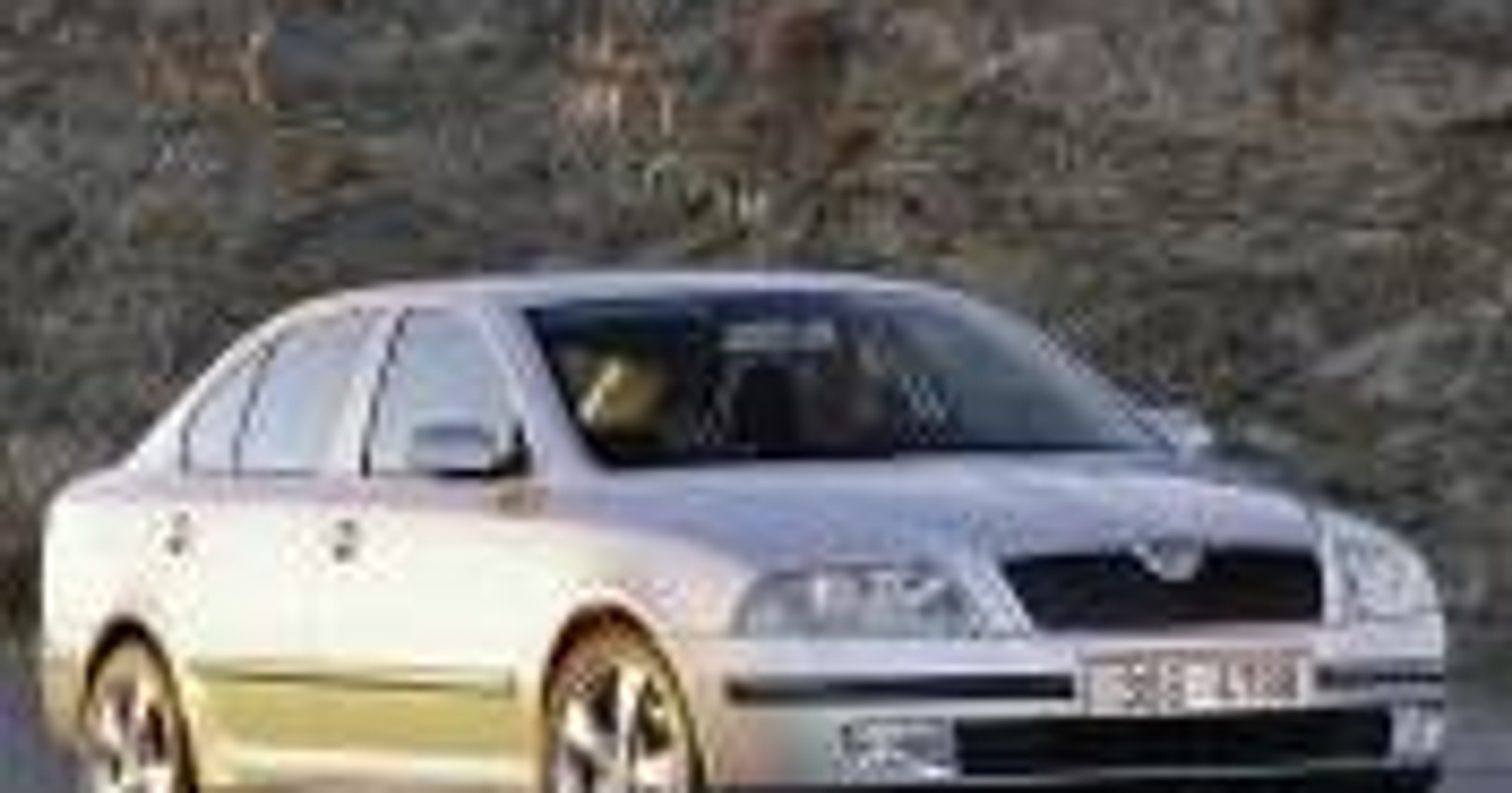 30 lat RS
