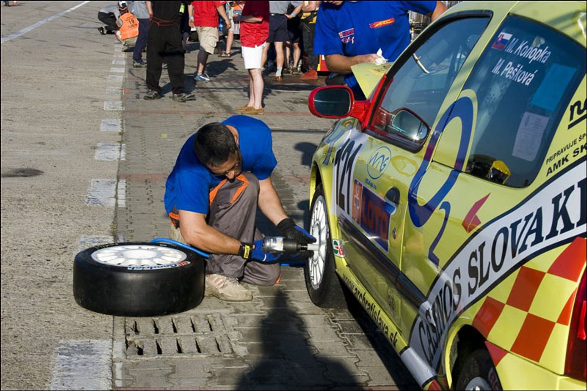 Wyścigi: nowe rekordy na torze w Poznaniu (fotogaleria)