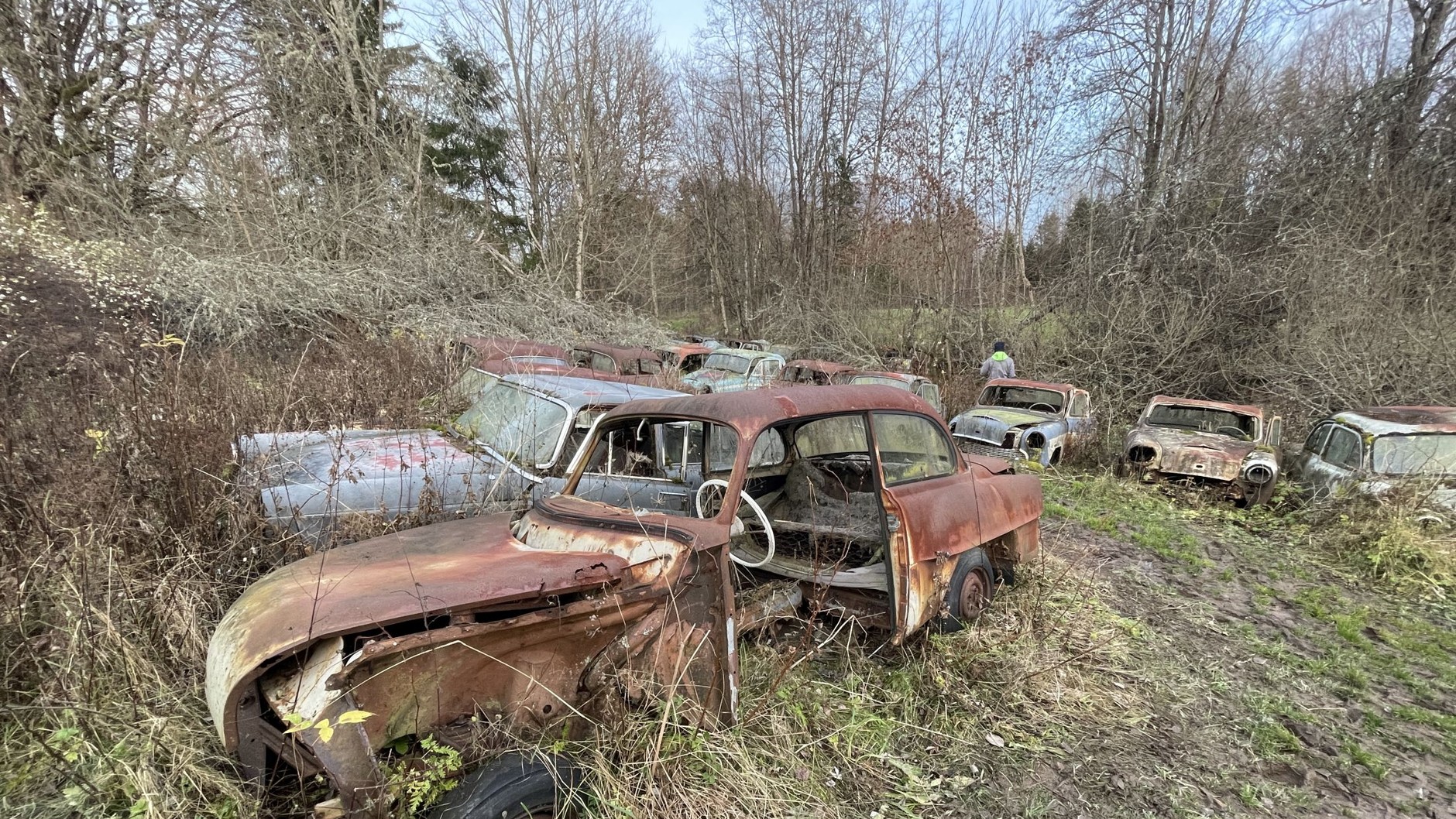 Cmentarzysko samochodów w Bastnas w Szwecji