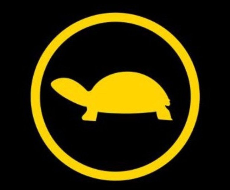 Tryb żółwia w autach elektrycznych i hybrydowych