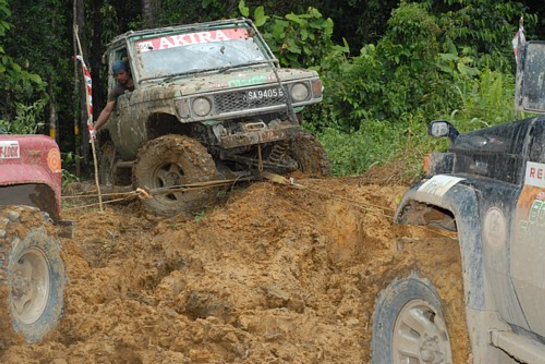 Borneo Safari 2010: To trzeba było zobaczyć!