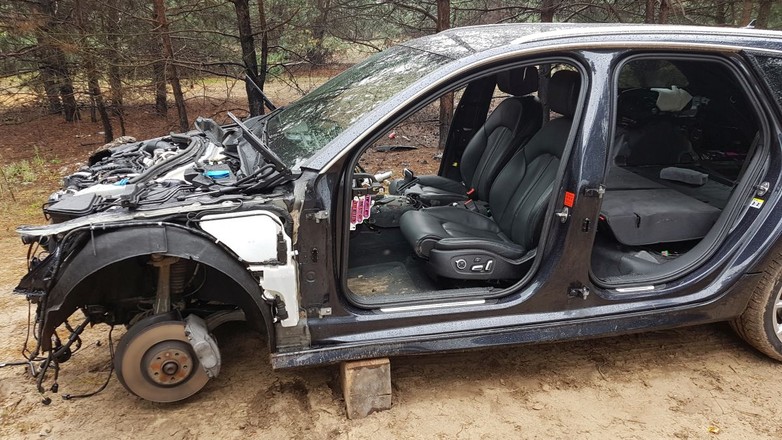 Złodziejska dziupla