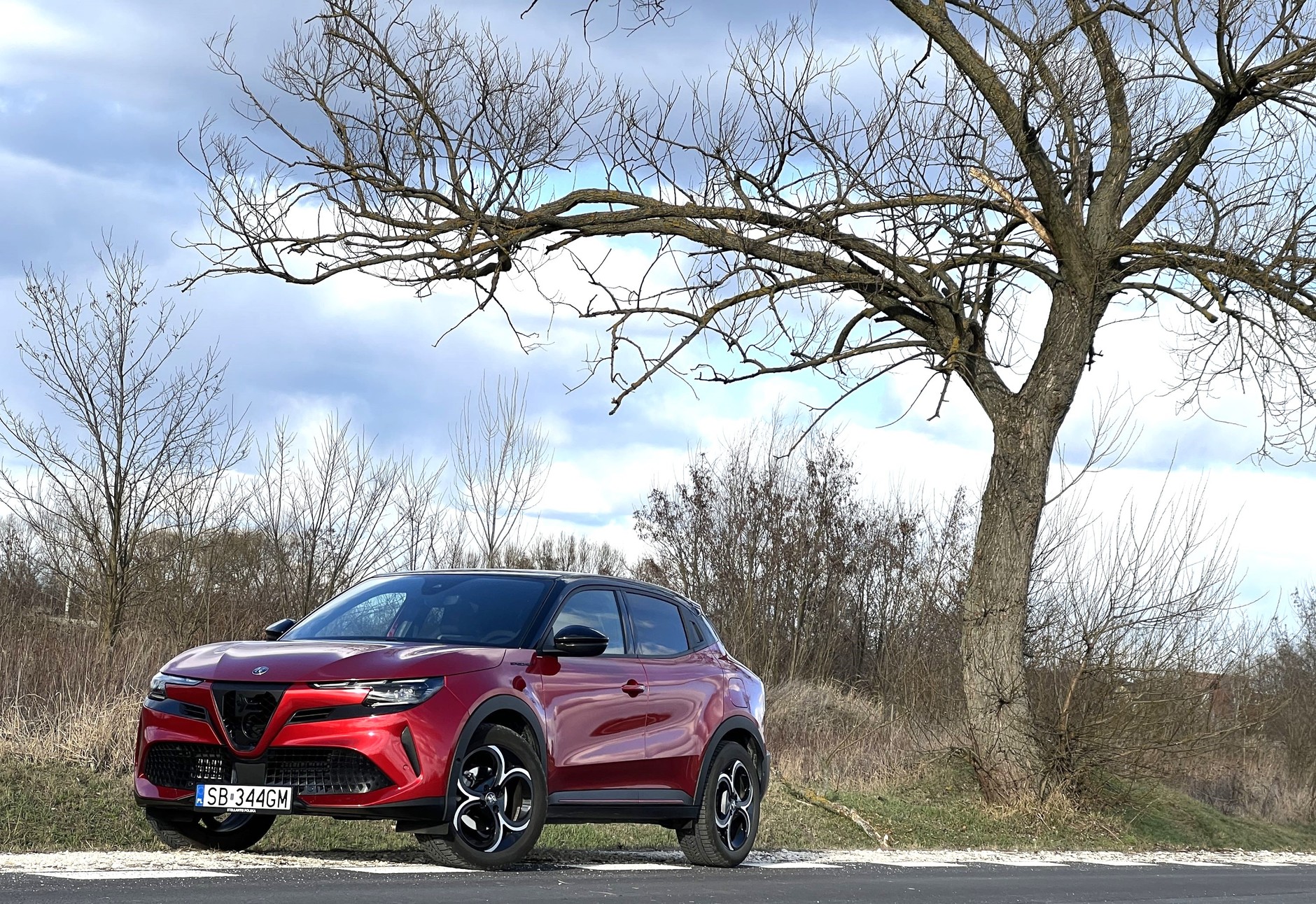 Alfa Romeo Junior