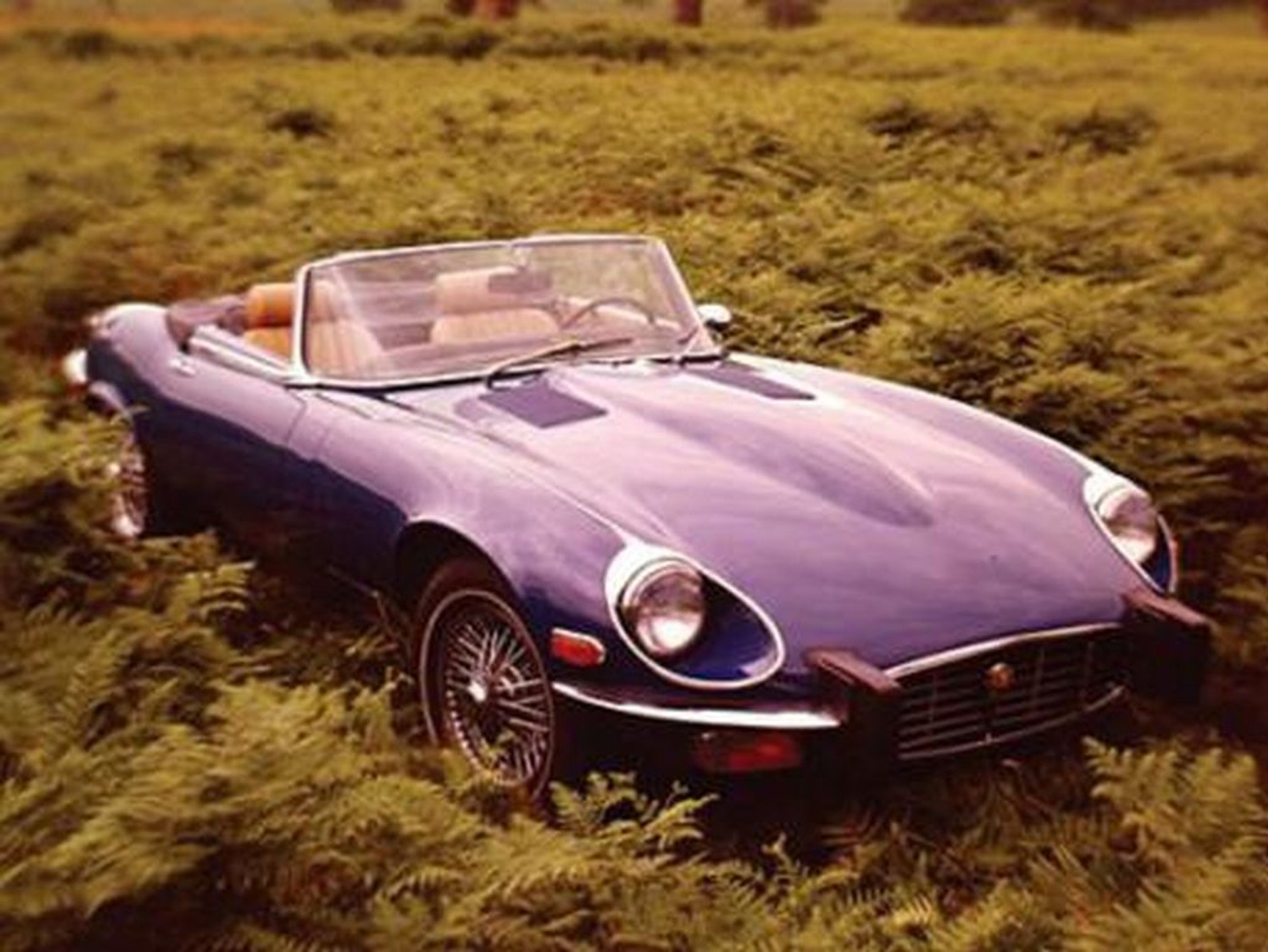 Zobacz ranking najgorętszych aut według Playboya