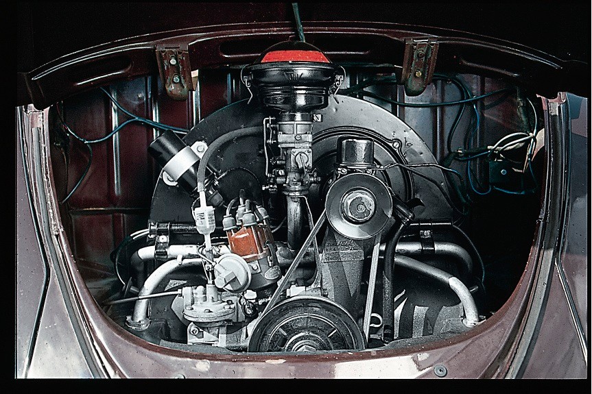 Garbus ma 75 lat