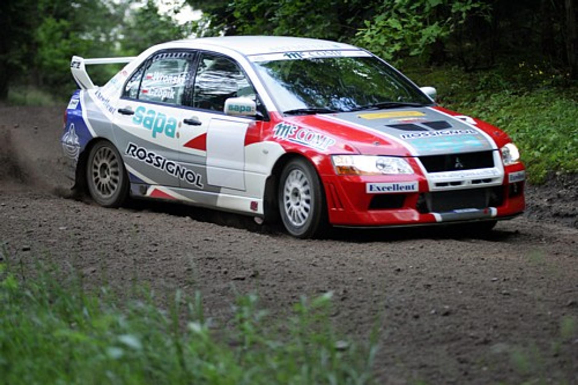 Narciarski oes w środku lata