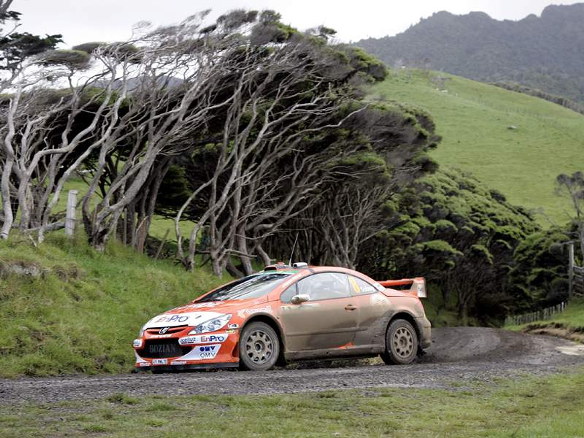 Ford Mistrzem Świata!