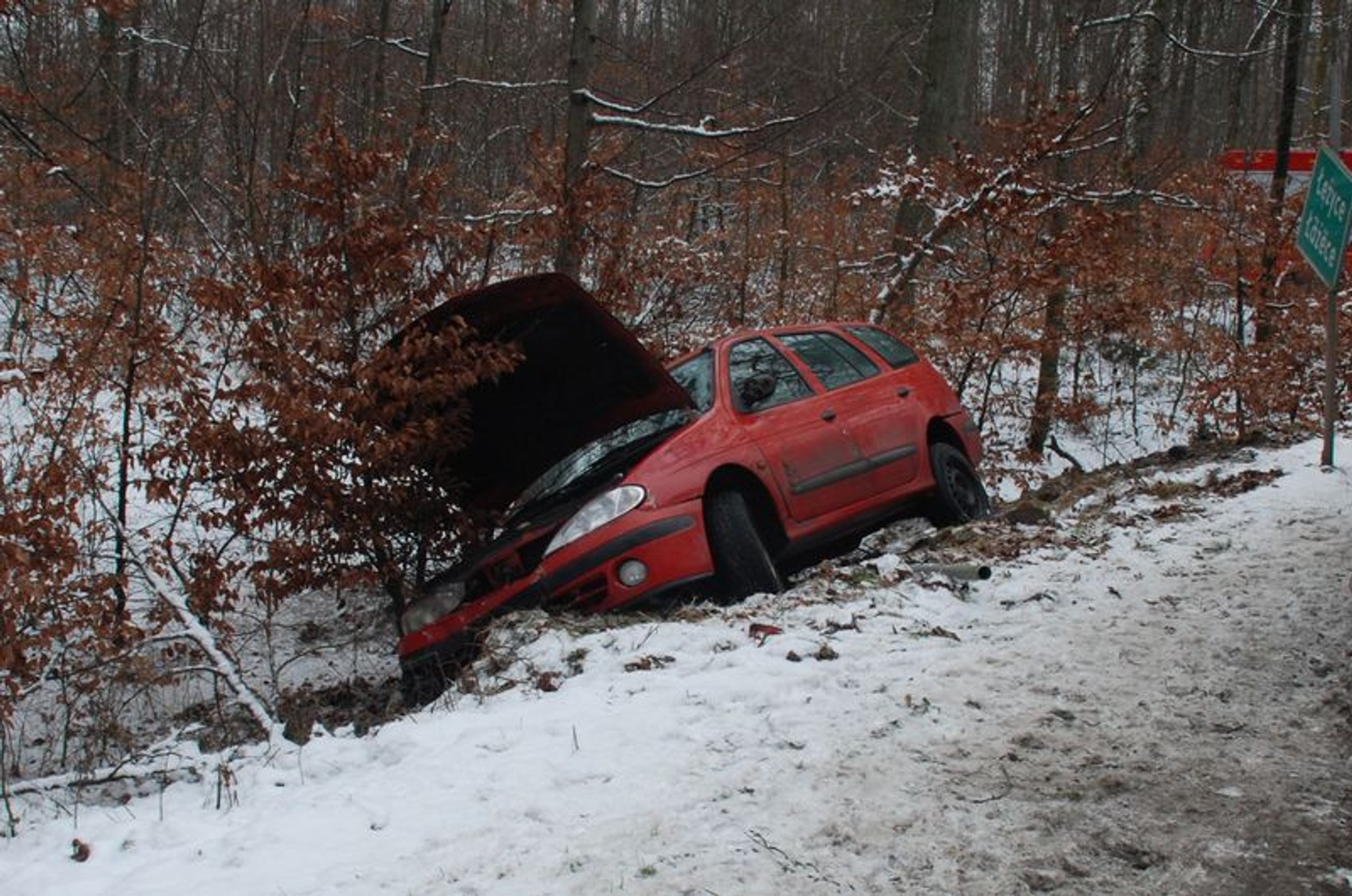 Renault Megane w rowie