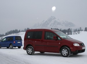 Caddy na cztery łapy