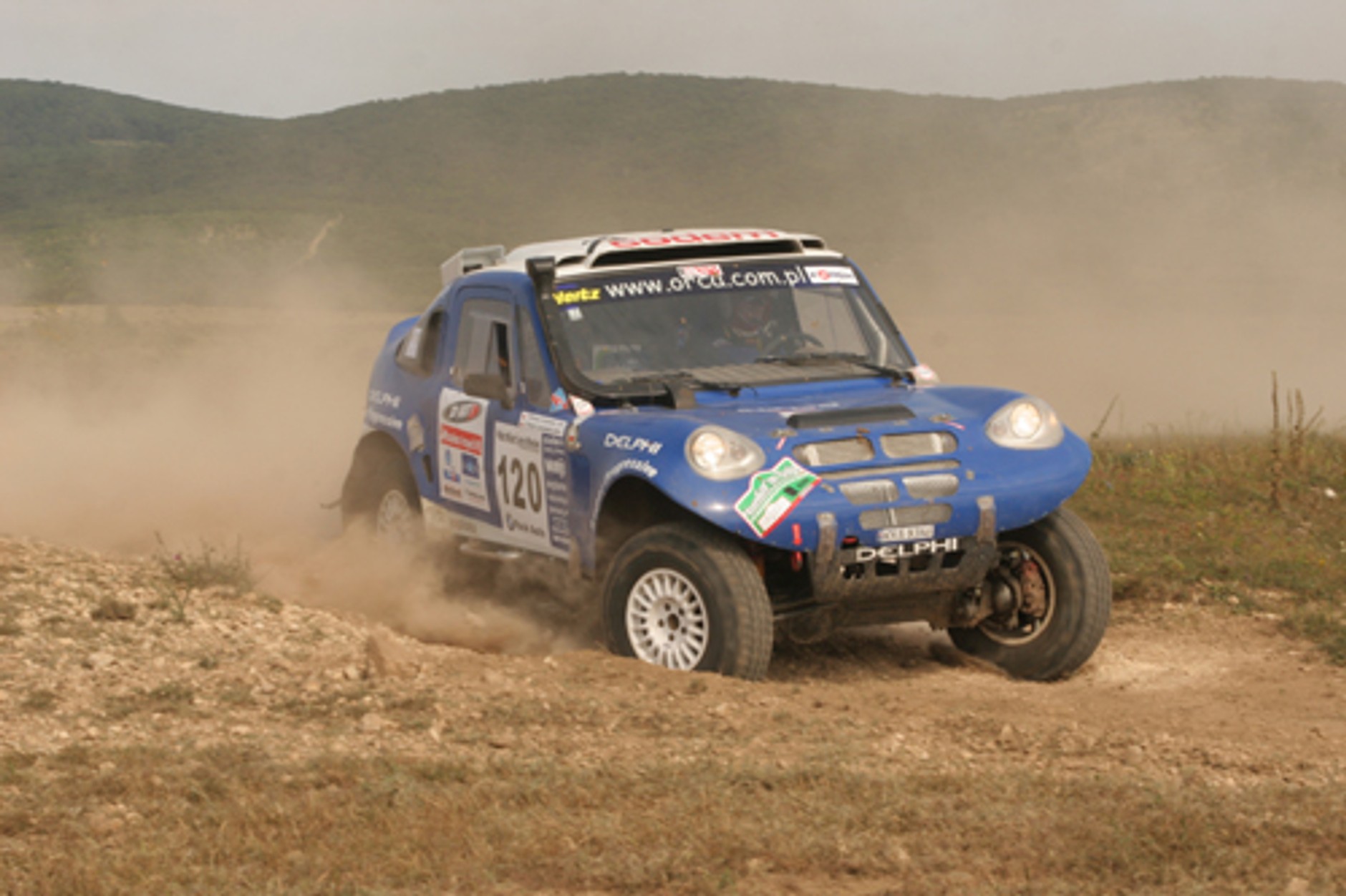 ORCA BMW - Orka na wolności