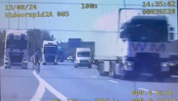 Policja zatrzymała na autostradzie A4 dwójkę kandydatów do nagrody Darwina. Niewiarygodna bezmyślność