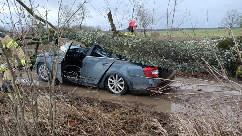 Już ponad 650 interwencji strażaków w związku z silnie wiejącym wiatrem na Warmii i Mazurach