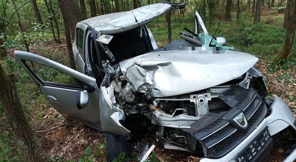 Tak wygląda auto osobowe po zderzeniu z łosiem