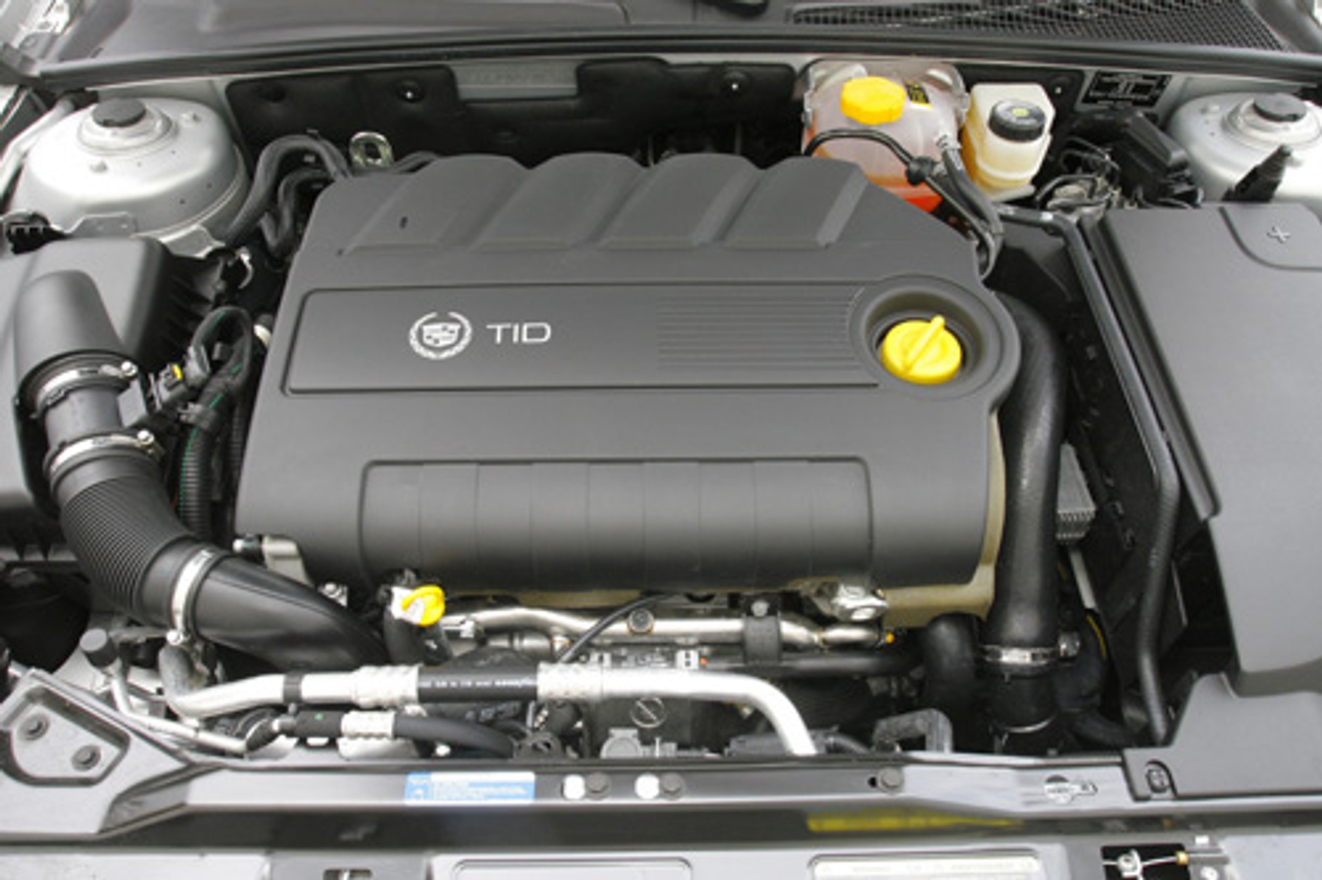 Cadillac BLS 1.9 Elegance - Naturalizowany jankes