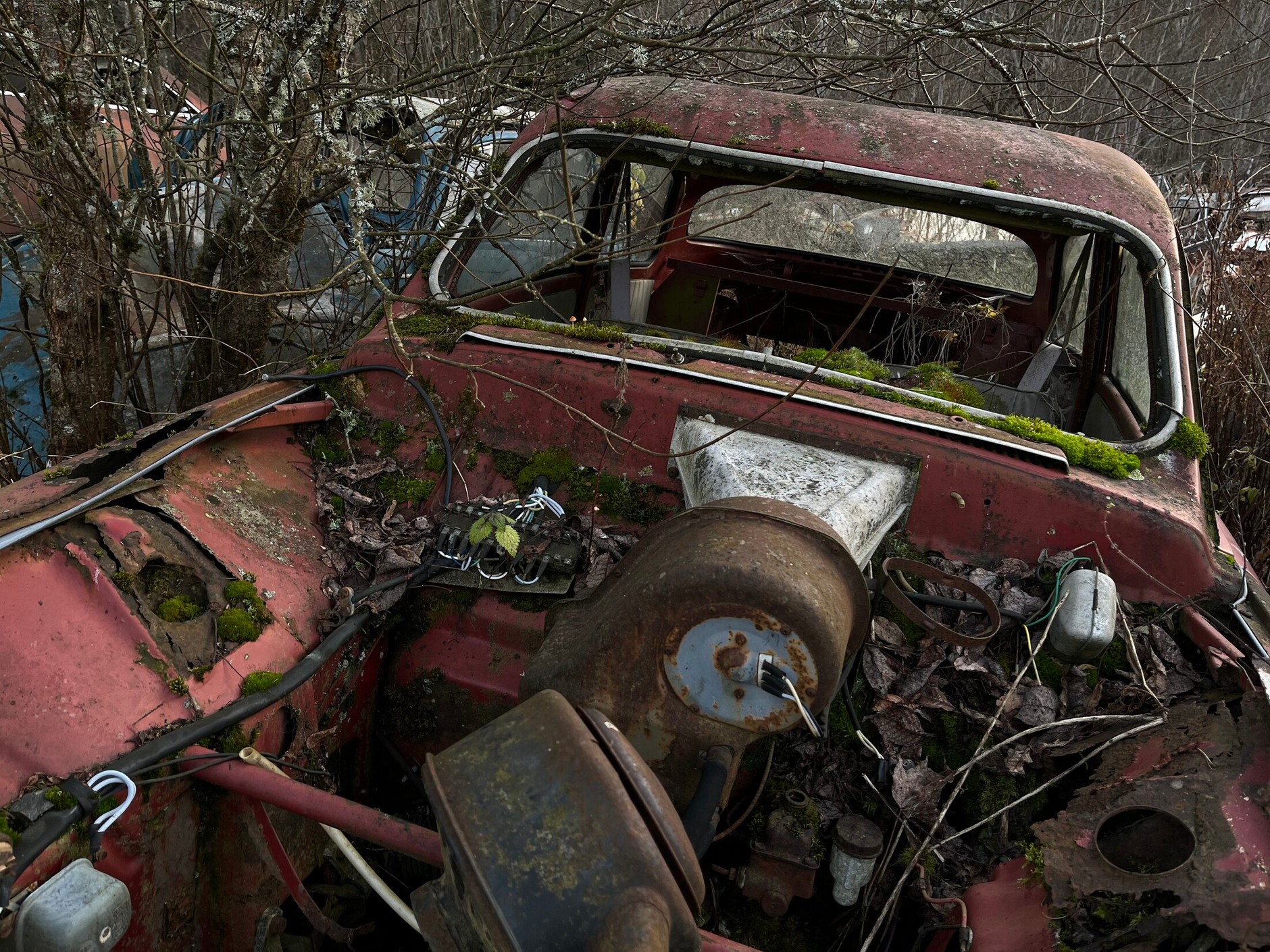 Cmentarzysko samochodów w Bastnas w Szwecji