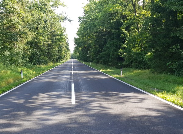 Efekt zebry to znane zjawisko podczas jazdy. Kierowcy muszą go poznać