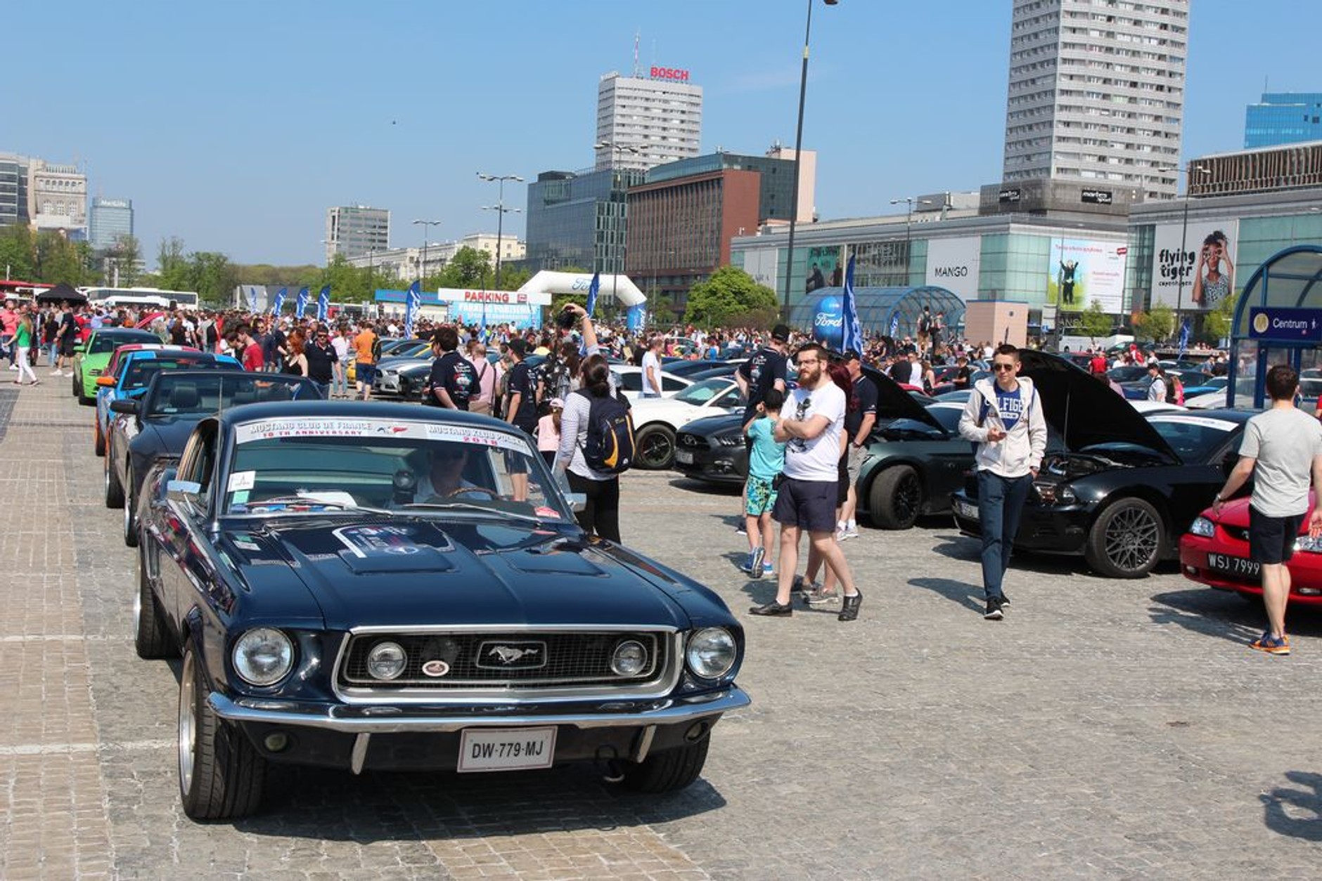 10. Zlot Fordów Mustangów w Warszawie