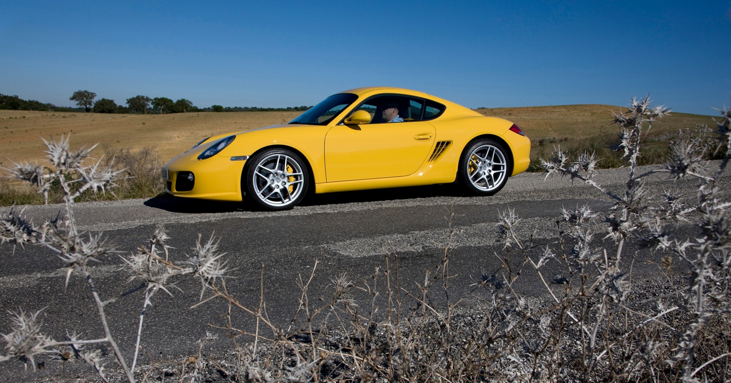 Porsche Cayman 