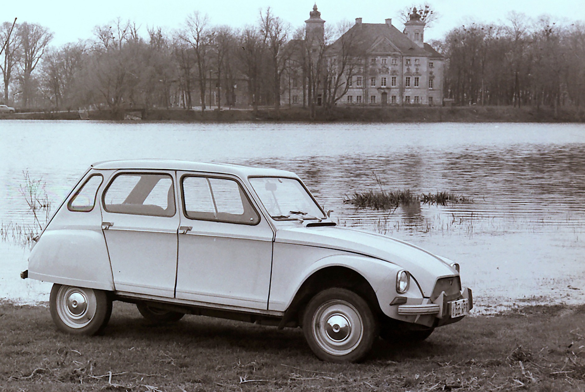 Dyane - propozycja dla Polski