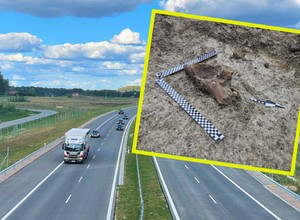 Na budowie drogi S17 pojawił się... mamut. GDDKiA mówi, co z kolejnymi 50 km