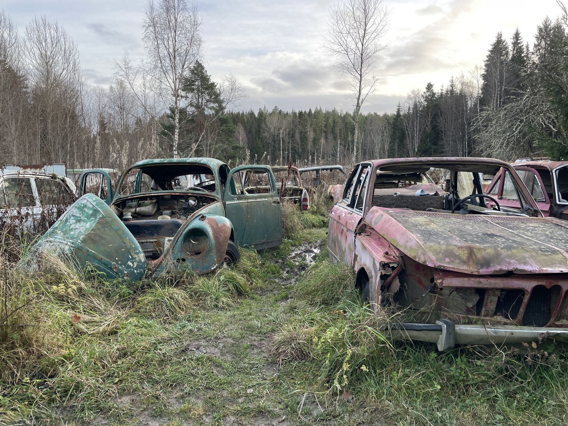 Cmentarzysko samochodów w Bastnas w Szwecji