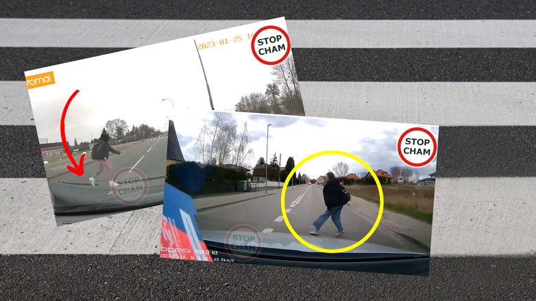 To wideo zatyka dech w piersiach (screenshot/YouTube/@STOPCHAM)